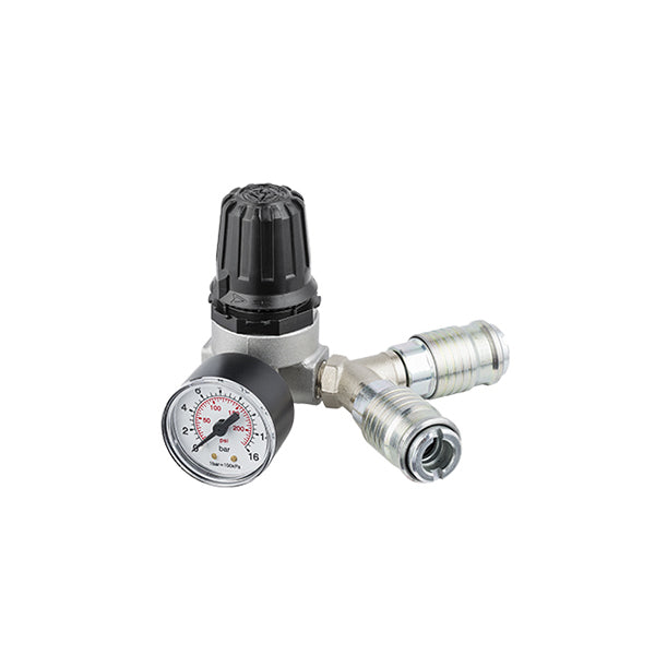 31/A9 - Regolatore di pressione con manometro e RUBINETTI RAPIDI UNIVERSALI - Uscita aria N° 2 17/AM - Per compressori - Ani 31/A9 - Regolatore di pressione con manometro e RUBINETTI RAPIDI UNIVERSALI - Uscita aria N° 2 17/AM - Per compressori - Ani
